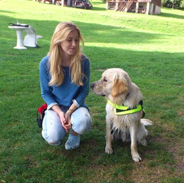 Dog Training Bracknell Berkshire Dog Training Bracknell Berkshire