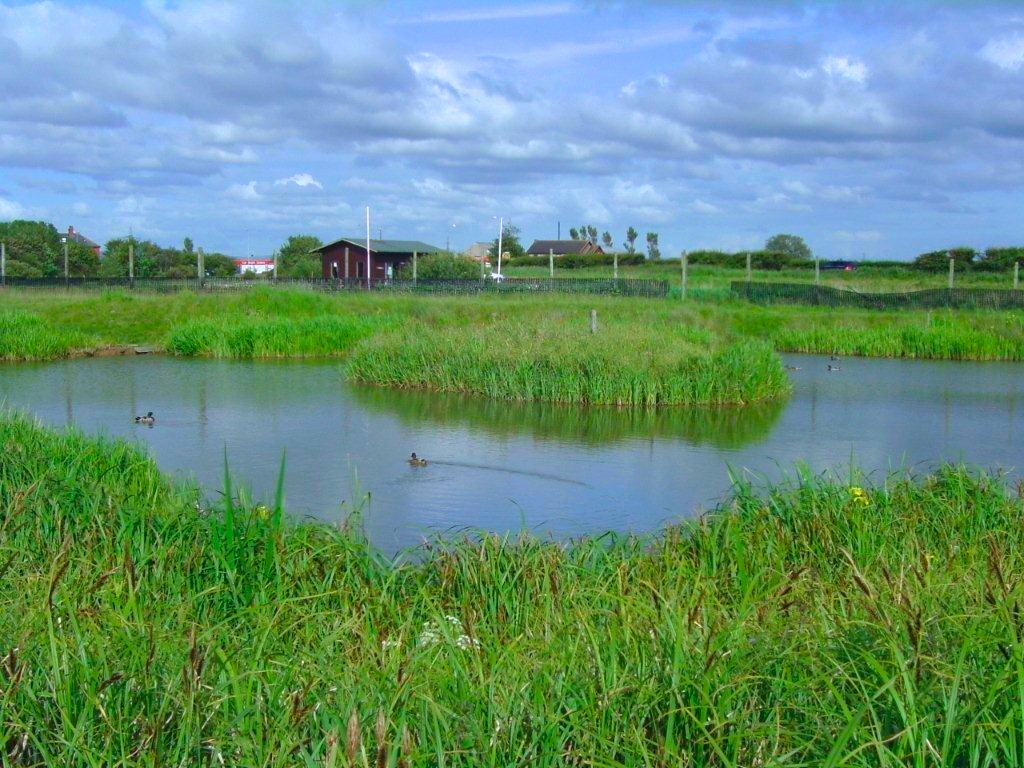 Hambleton Fisheries Salt Marsh Lane, Hambleton, PoultonleFylde, Lancashire, FY6 9BX