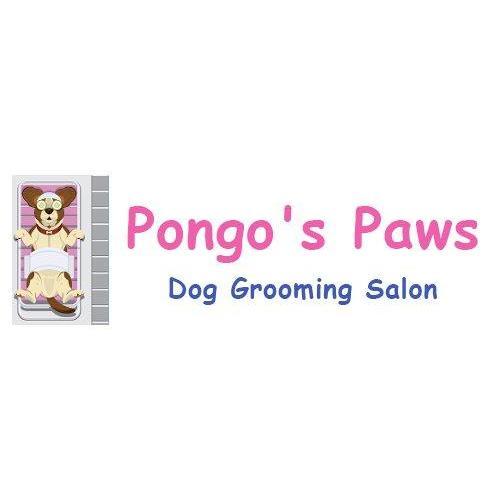 Dog Grooming Sutton Coldfield Dog Grooming Sutton Coldfield