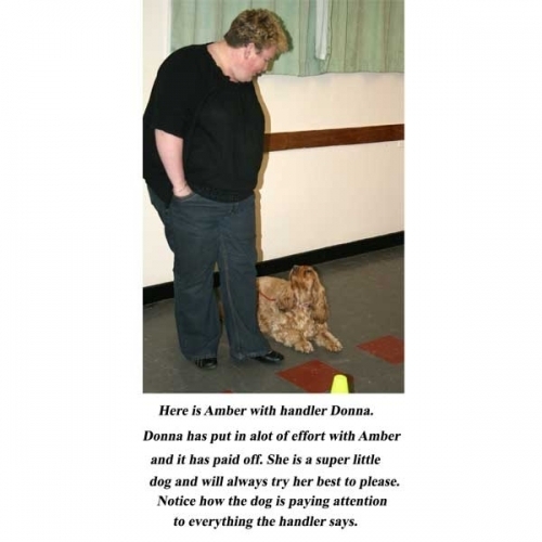 Details for Flixton Dog Training Club in The Scout Hut ...