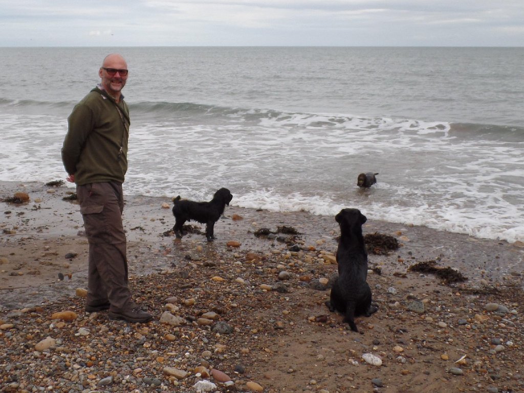 Follow My Lead Dog Training Hull Follow My Lead Dog Training Hull