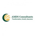 A M D S Consultants Ltd