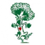 Dave Ford Tree Care