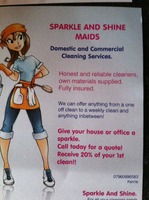 Sparkle and shine maids