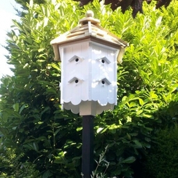 Tit Cotes
