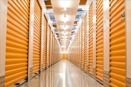 Storage Giant