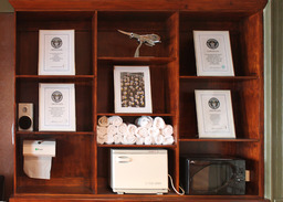 Some of our Guinness World Records on display.