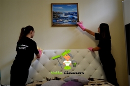 Domestic cleaning 3