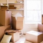 Total Junk Removal London