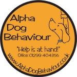 Alpha Dog Behaviour