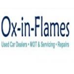 Ox in Flames