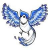 Bluejay Business Services Ltd