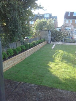 Turf and raised bed