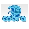 Cobra Security