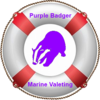 Purple Badger Marine Valeting