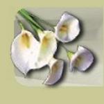 A & C Tadman Ltd