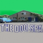 The Dog Spa
