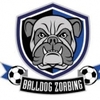 BallDog Zorbing