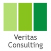 Veritas Consulting