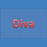 Diva Indian Restaurant