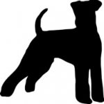 Dirty Dogs Dog Grooming Salon