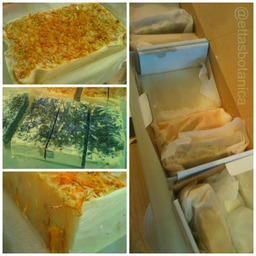 soap making workshop