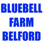 Bluebell Farm Caravan Park & Holiday Cottages