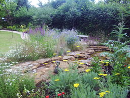 JIll Blackwood Garden Design Swindon