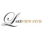 Lakeview Stud Equestrian
