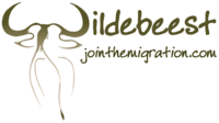 Wildebeest