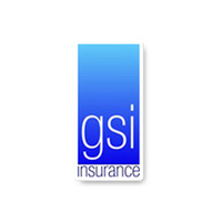 GSI Ltd