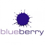 Blueberry Bathrooms & Kitchens