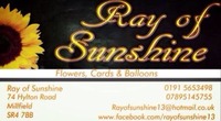 Ray of Sunshine Florist