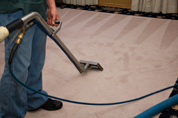 Carpet Cleaning 2