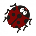 Little Ladybirds Childminding