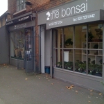 Floristry by the Bonsai