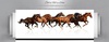 Online Horse Shop