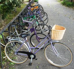 Bicycles For Sale