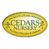 The Cedars Nursery