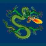 Dragon Fireworks Ltd