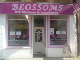 BLOSSOMS DRY CLEANERS AND LAUNDERERS