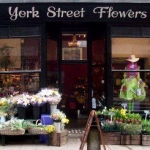 York Street Flowers