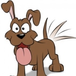 Wagtail Pet Supplies