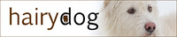 Hairy Dog Photography