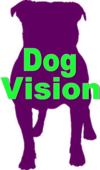 Dog Vision