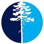 Birchtree Sullivan