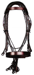 Bridle