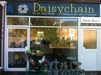 Daisychain