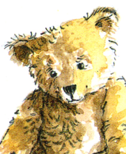 The Teddy Bear Book Illlustration