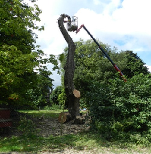 image2